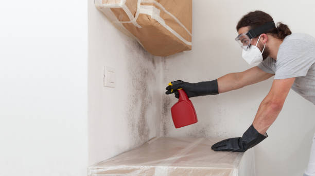 Professional Mold Removal technician working in Lawrence, NY